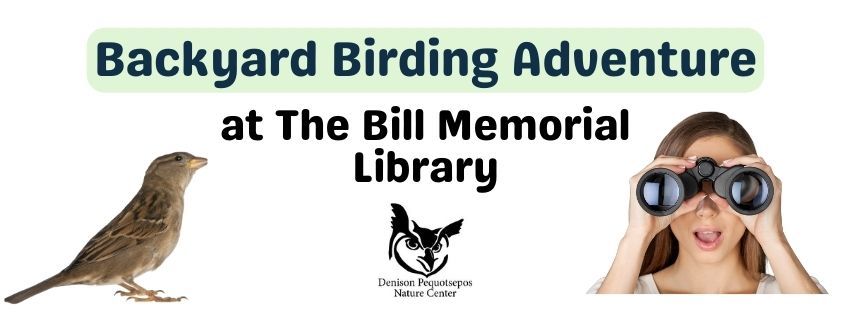 Backyard Birding Adventure for Kids presented by the Denison Pequotsepos Nature Center