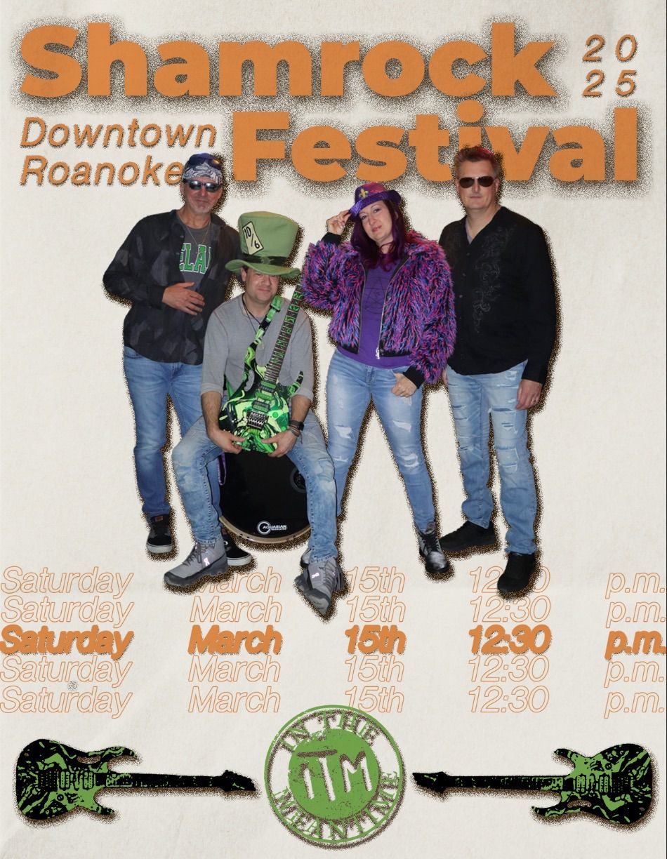 In The Meantime LIVE at the Shamrock Festival