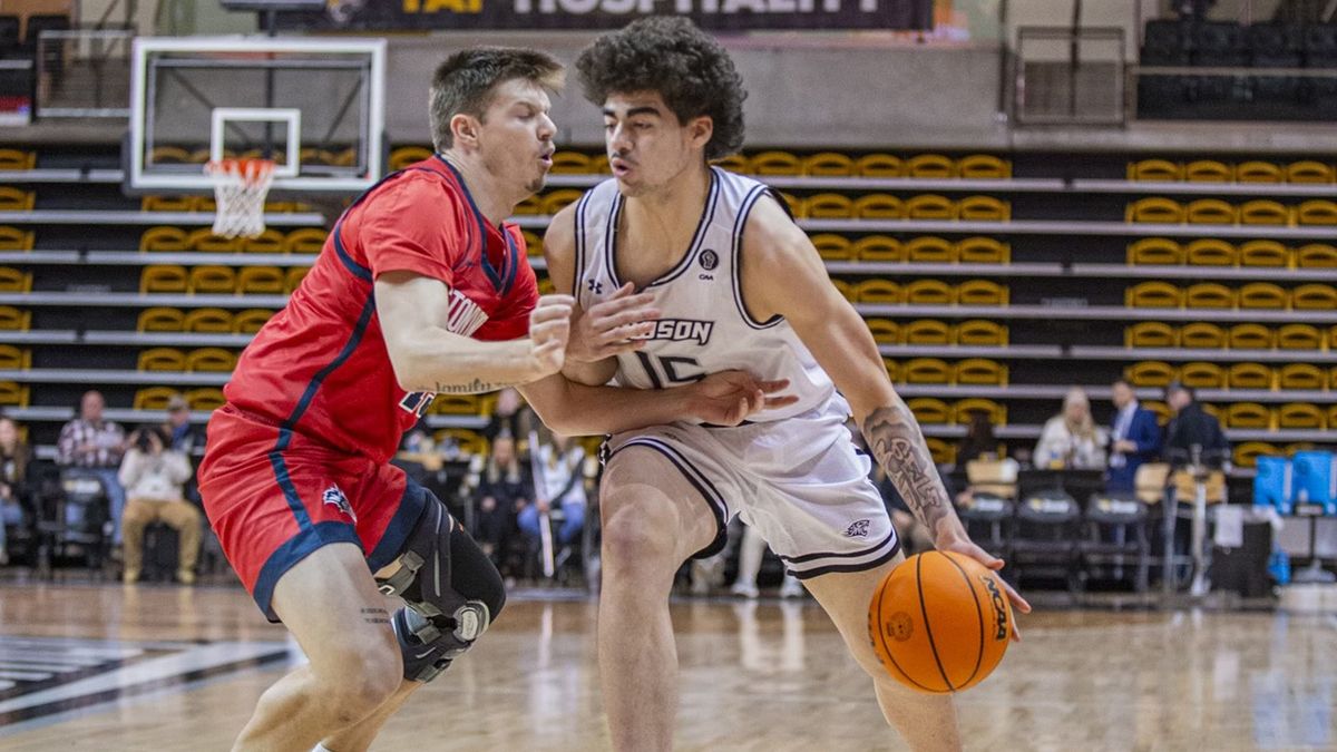 Towson Tigers at Stony Brook Seawolves Mens Basketball at Island Federal Credit Union Arena