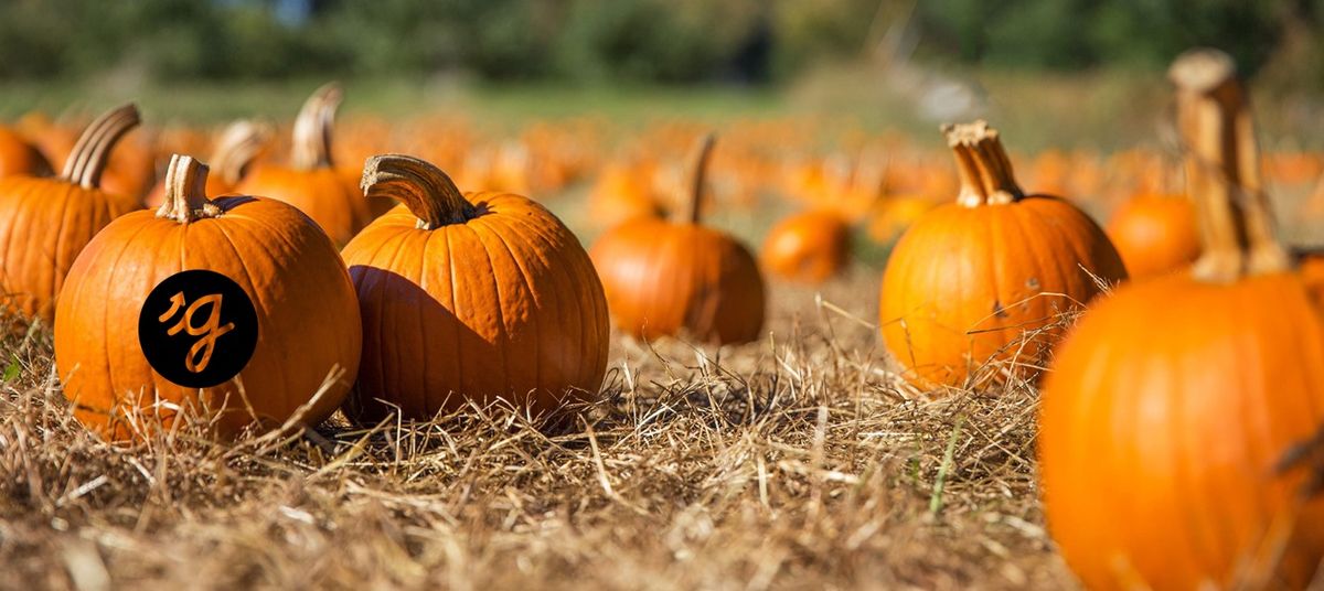 Pumpkin Patch at Guidepost Montessori of Flower Mound