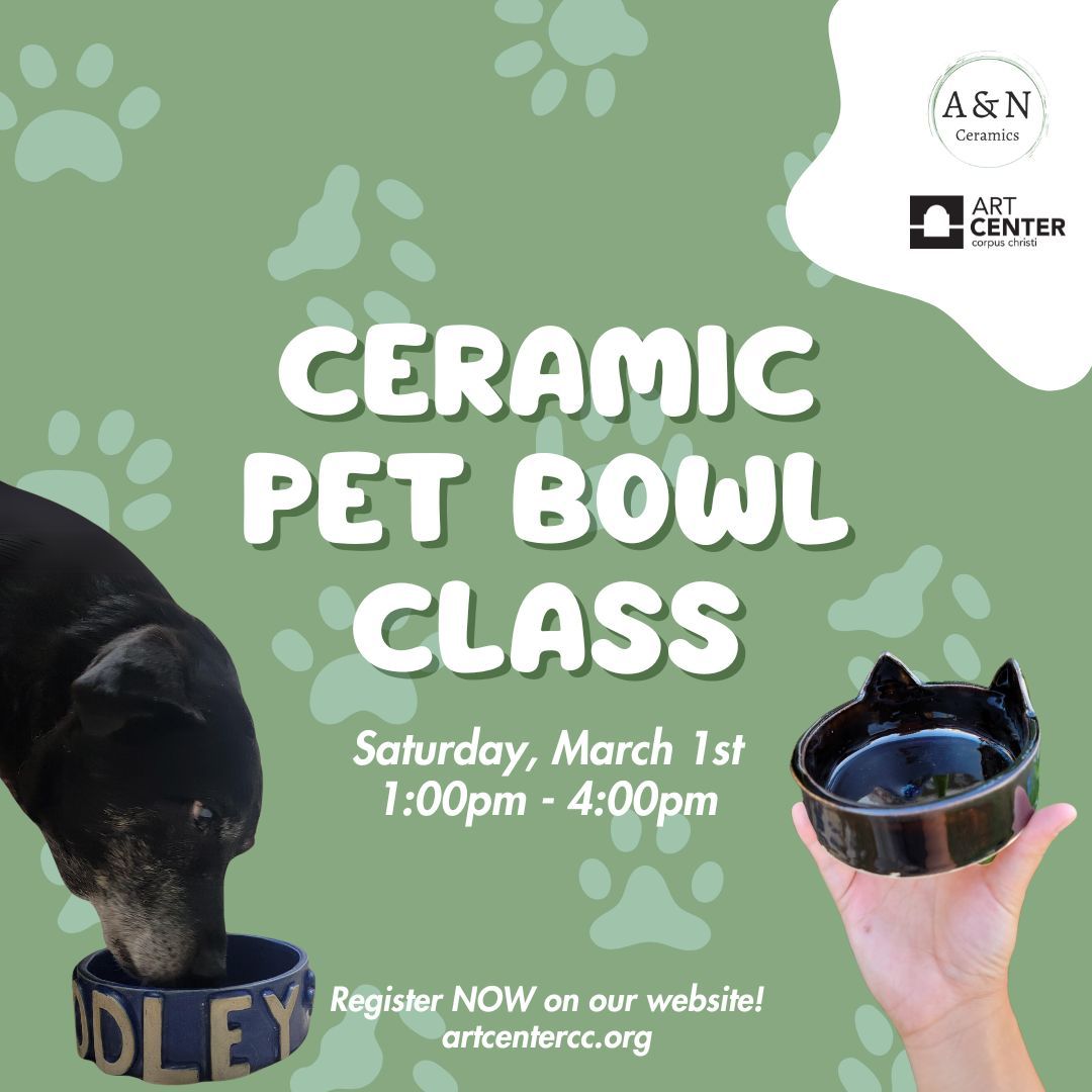 Ceramic Pet Bowl Class