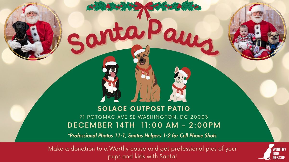 Santa Paws (Photos w\/Santa) - Navy Yard!