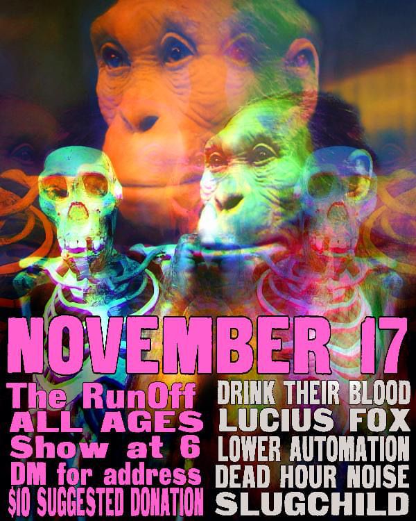 Drink Their Blood, Lucius Fox, Dead Hour Noise, Slugchild, and Lower Automation at The Runoff