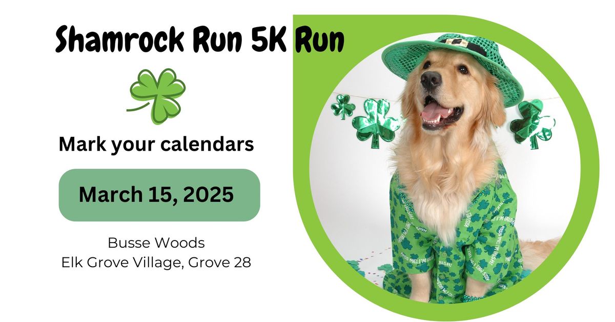 Lucky Dog 5K, Shamrock Beer Run, and Brewfest