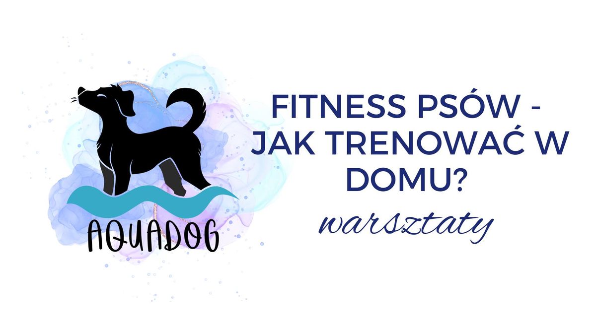 Fitness ps\u00f3w - jak trenowa\u0107 w domu? Warszaty