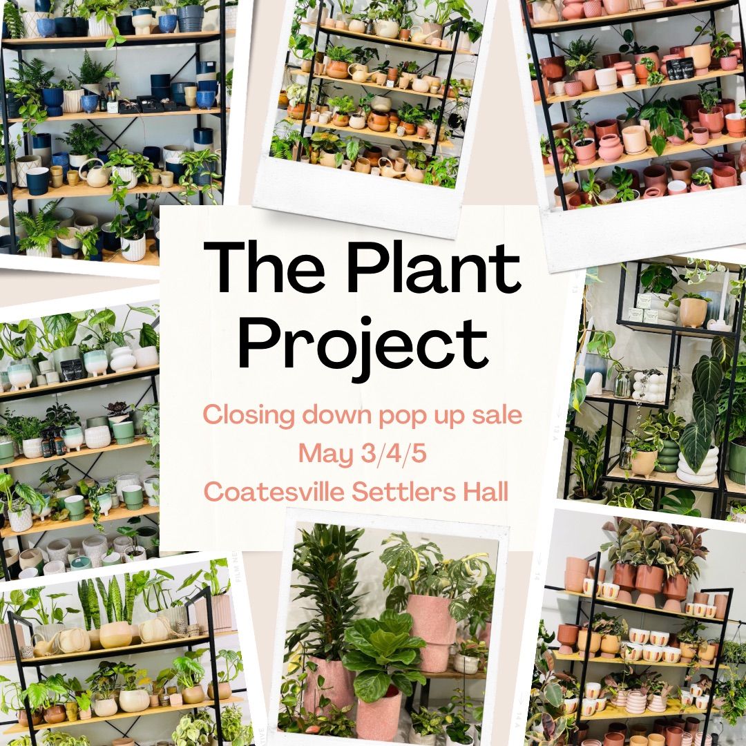 The Plant Project Closing Down Pop up Sale!