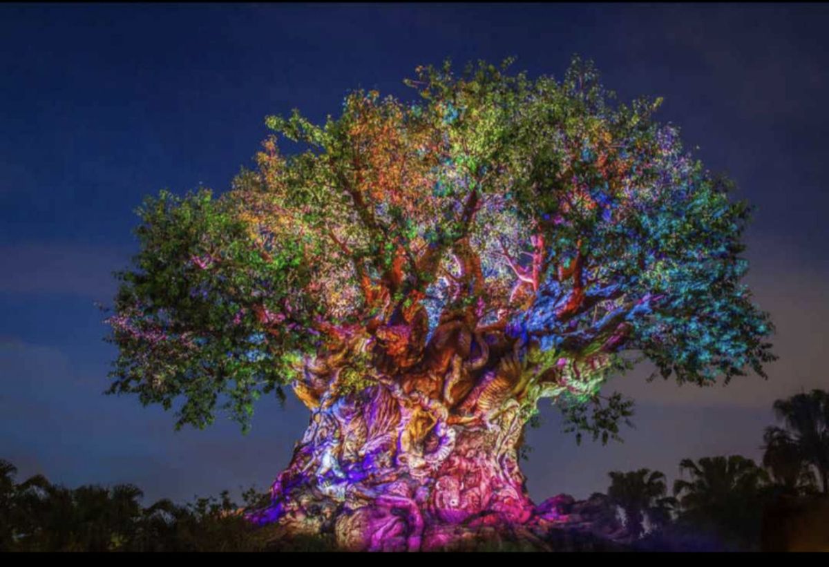 Tree of Life Guided Experience 