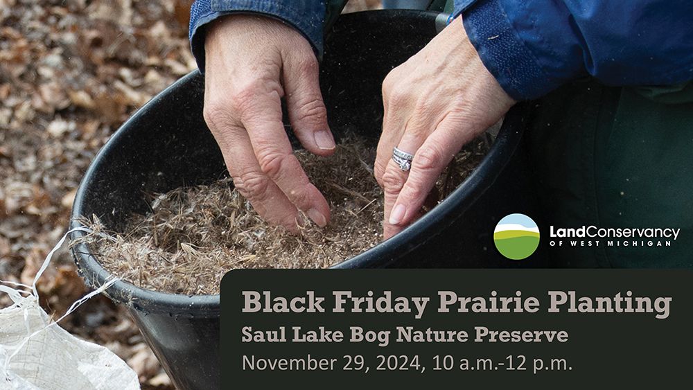 Black Friday Prairie Planting at Saul Lake Bog Nature Preserve