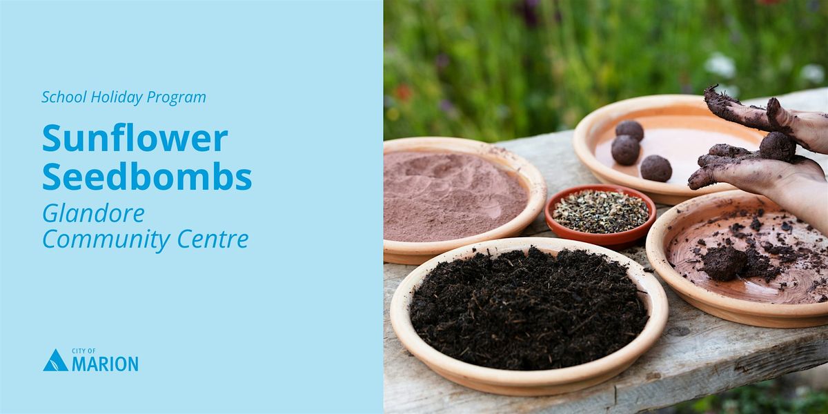 Sunflower Seed Bombs | January School Holidays | Glandore