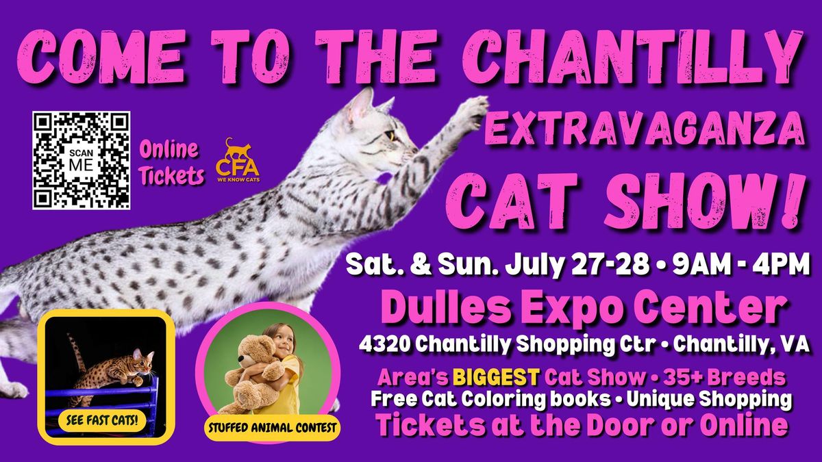 Come to the Chantilly Extravaganza Cat Show!
