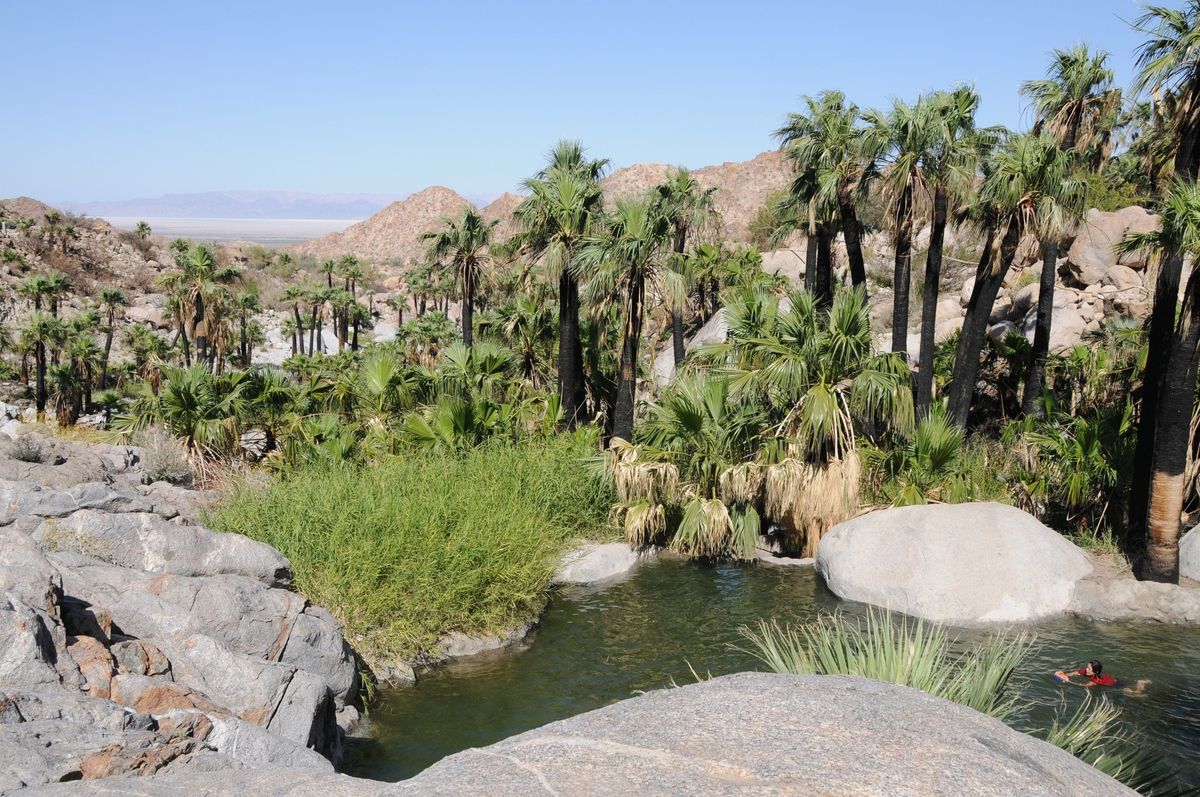 Baja Hot Springs Empowerment Adventure