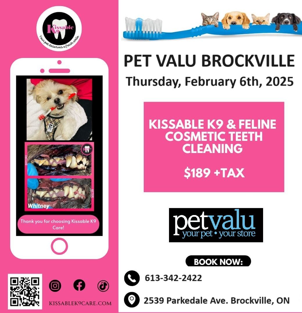 Kissable K9 Teeth Cleaning Clinic