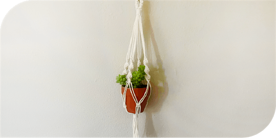 Macram\u00e9 Mini Plant Hanger Workshop