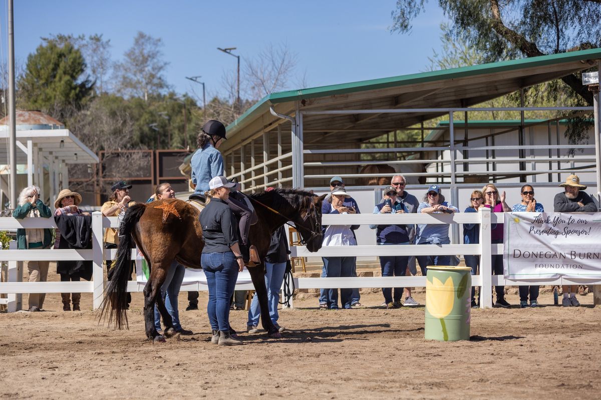 Volunteer Orientation