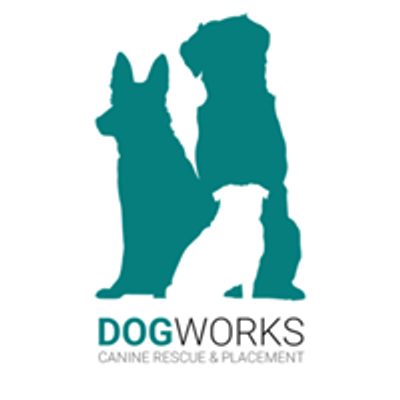 DogworksOhio