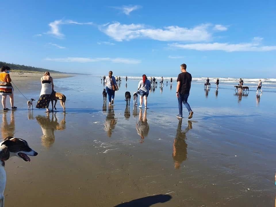 March Walk- Woodend Beach