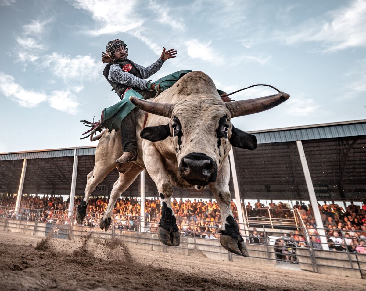 Big Bend Stampede