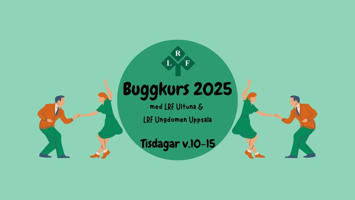 Buggkurs 2025