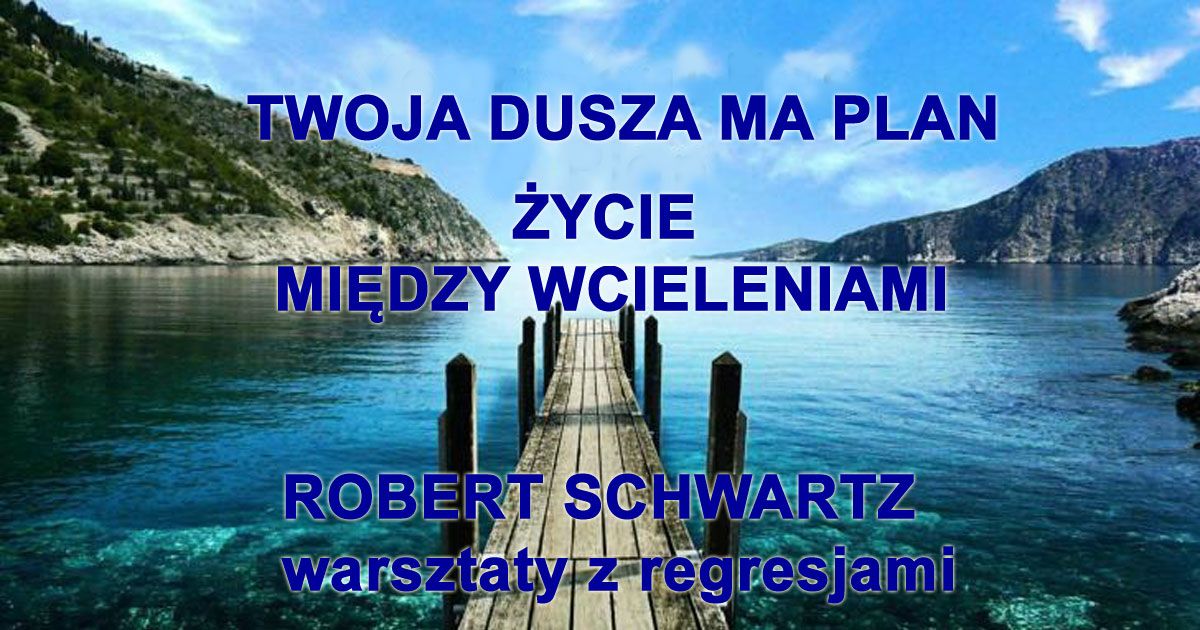 Plan Twojej Duszy - \u017bycie mi\u0119dzy Wcieleniami - Robert Schwartz