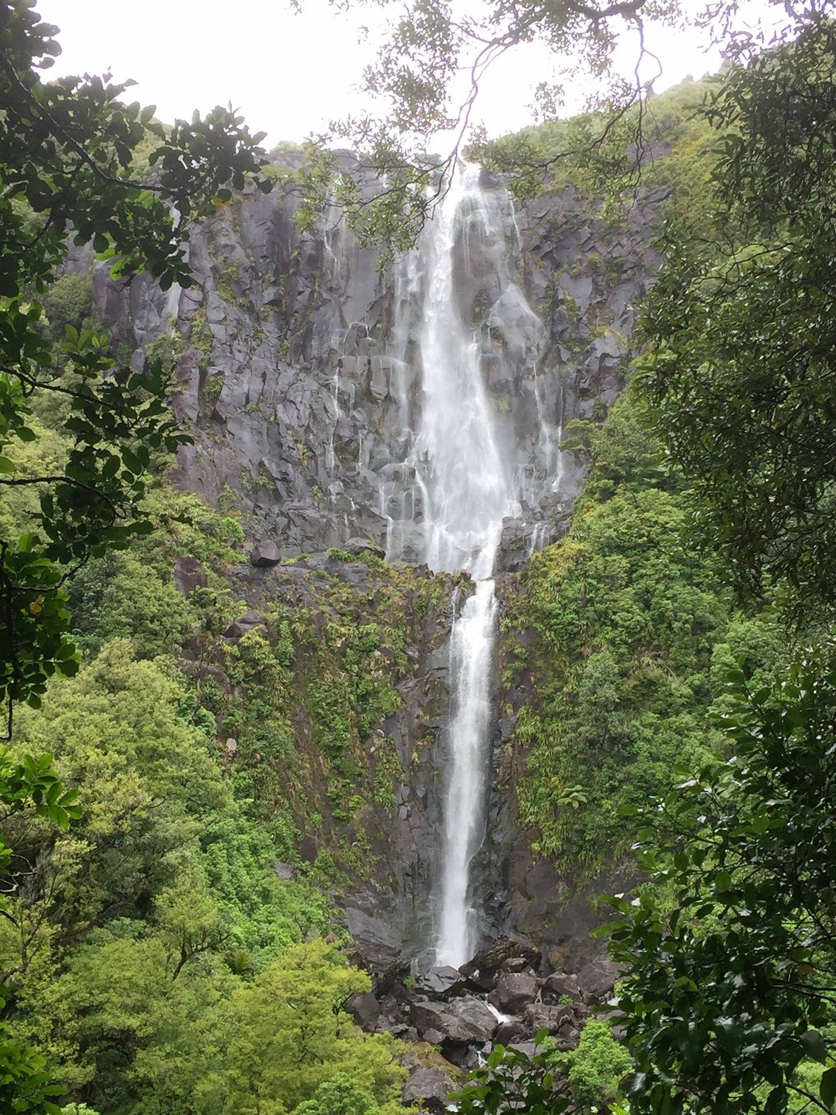 Killarney Lakes Run\/Walk Wairakau Road Te Aroha West 11am Start