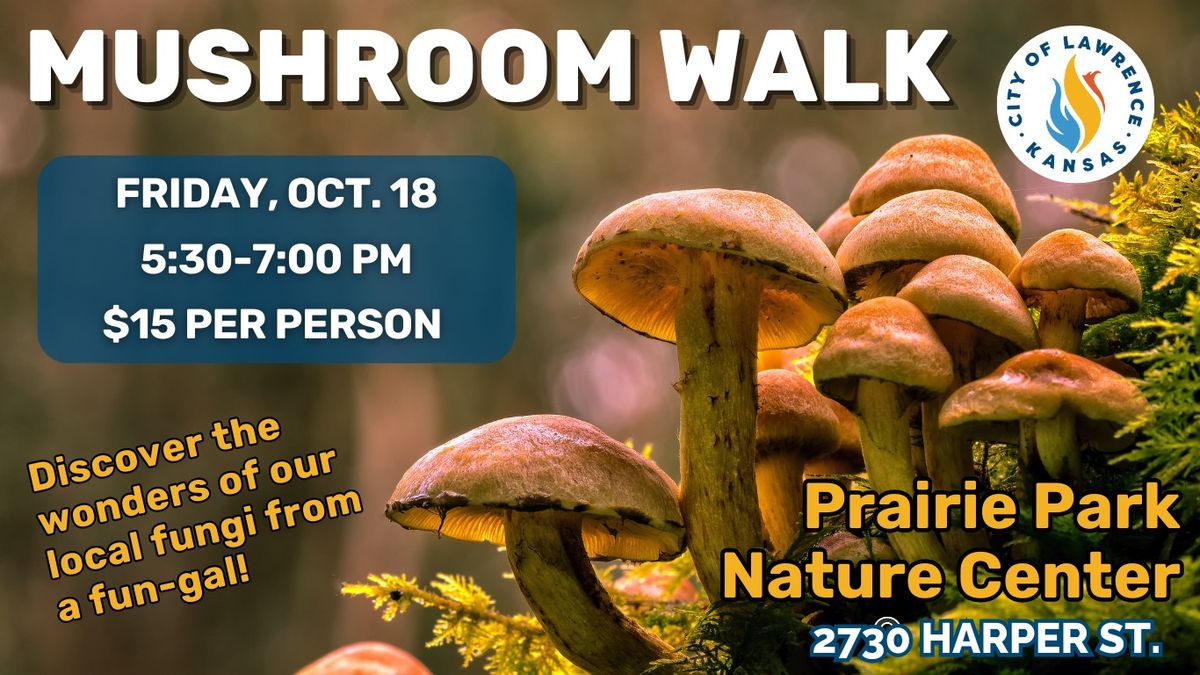 Mushroom Walk