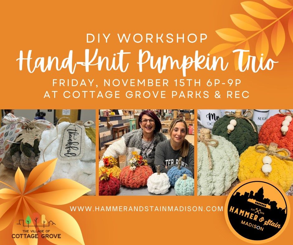 Hand Knit Pumpkin Trio - DIY Workshop