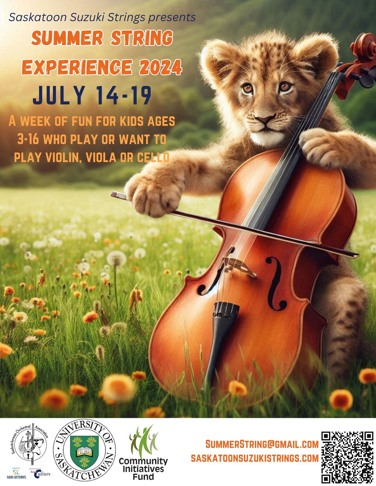 Summer String Experience 2024