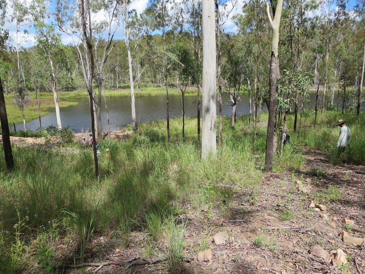 Australia Day weekend (the easy option)