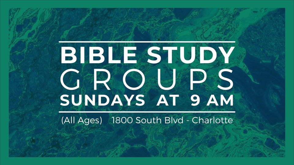 Bible Study Groups