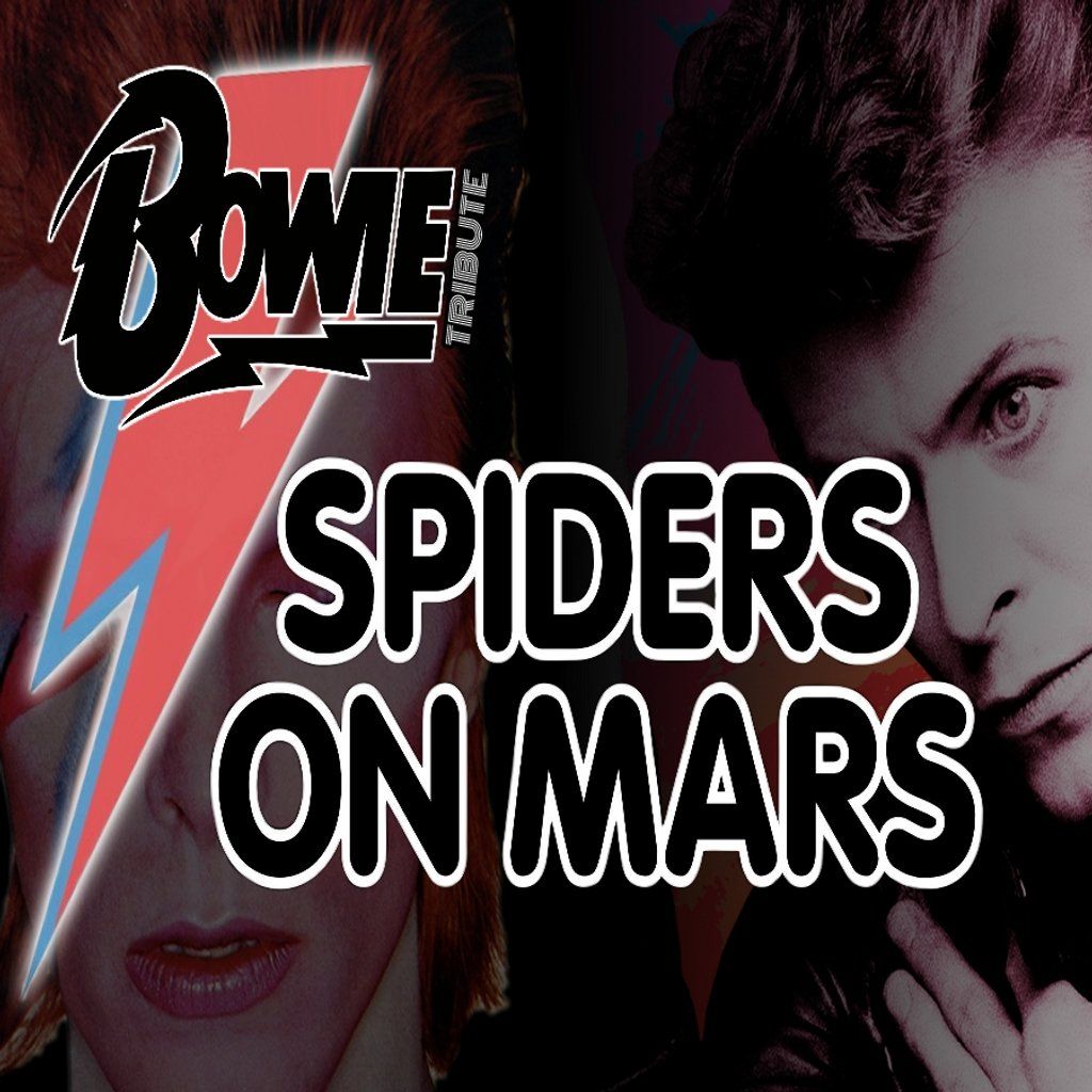 DAVID BOWIE TRIBUTE - SPIDERS on MARS