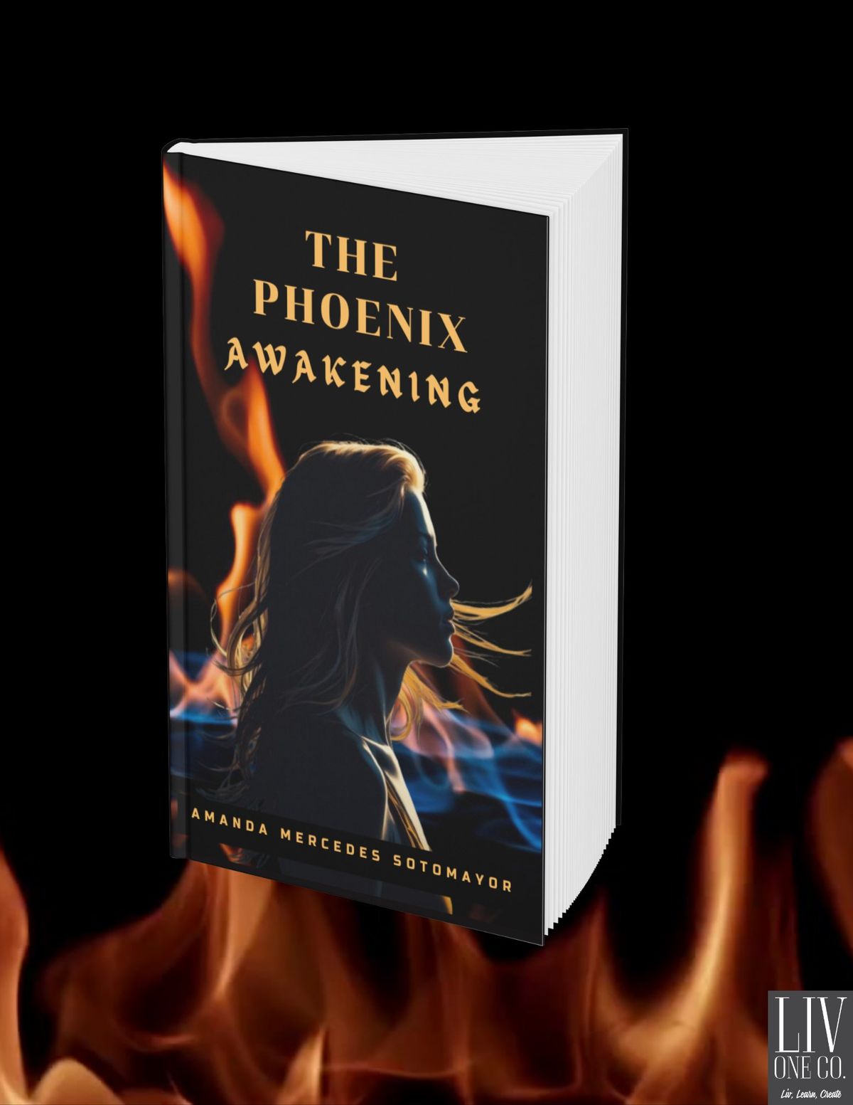 The phoenix Awakening Book Release Party!!