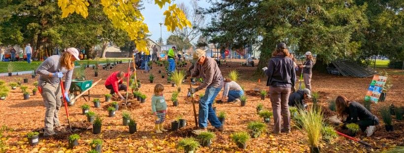 VOLUNTEER: Planting Day at the Cavanagh Center Food Forest