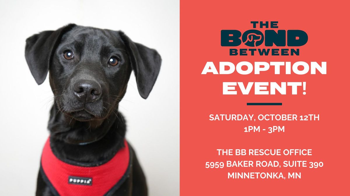 The BB Pet Adoption Event!