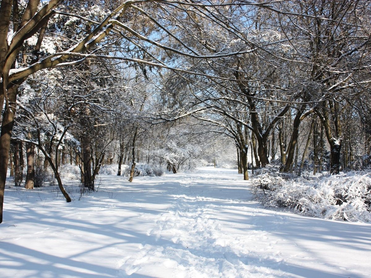 Winter Hike