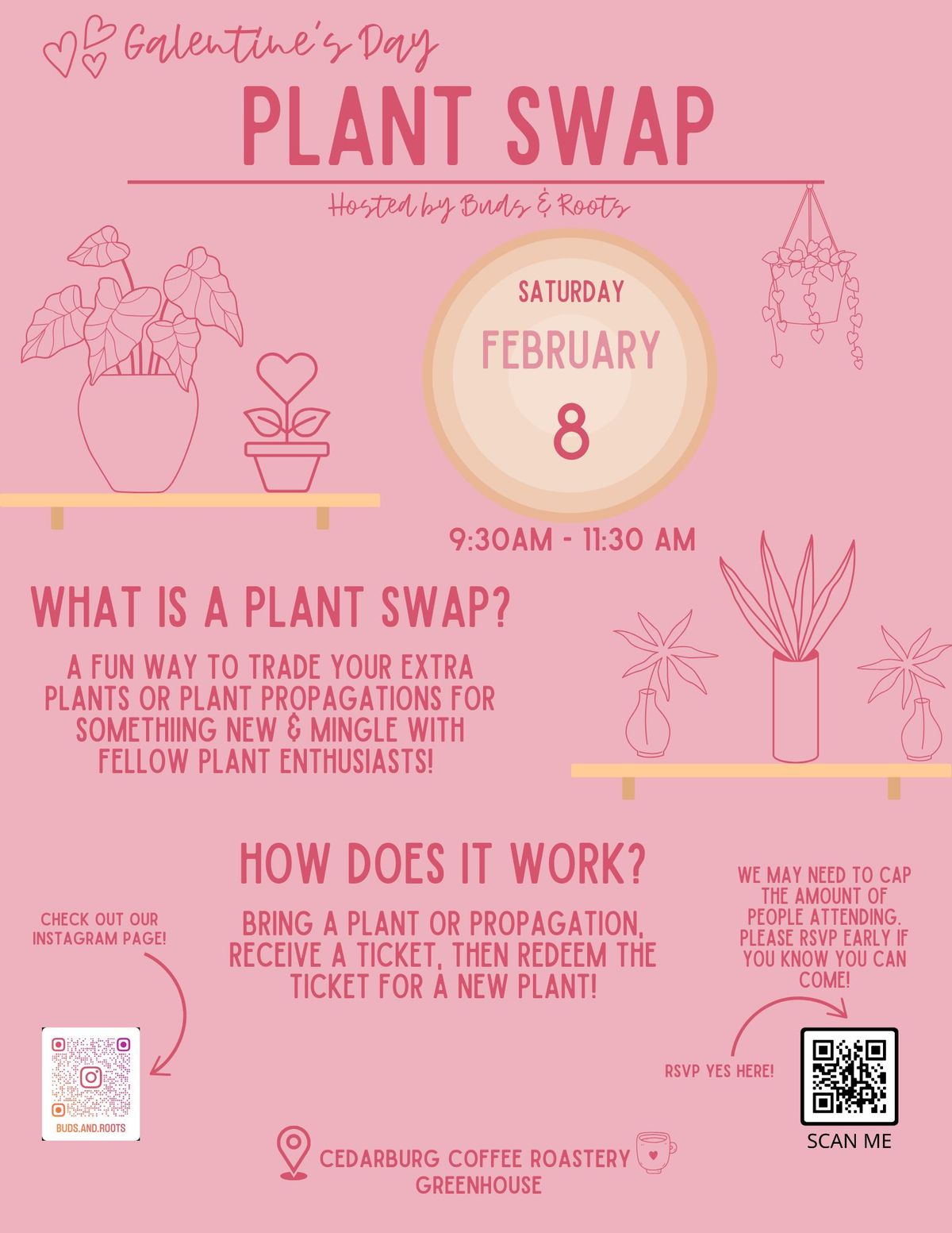 Galentine's Day Plant Swap