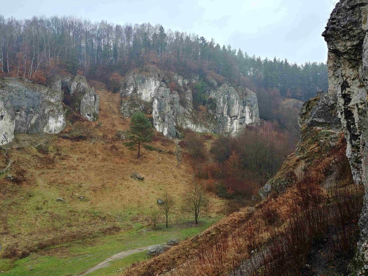 DOLINKI KRAKOWSKIE pieszo... prawie g\u00f3rska wycieczka po Jurze