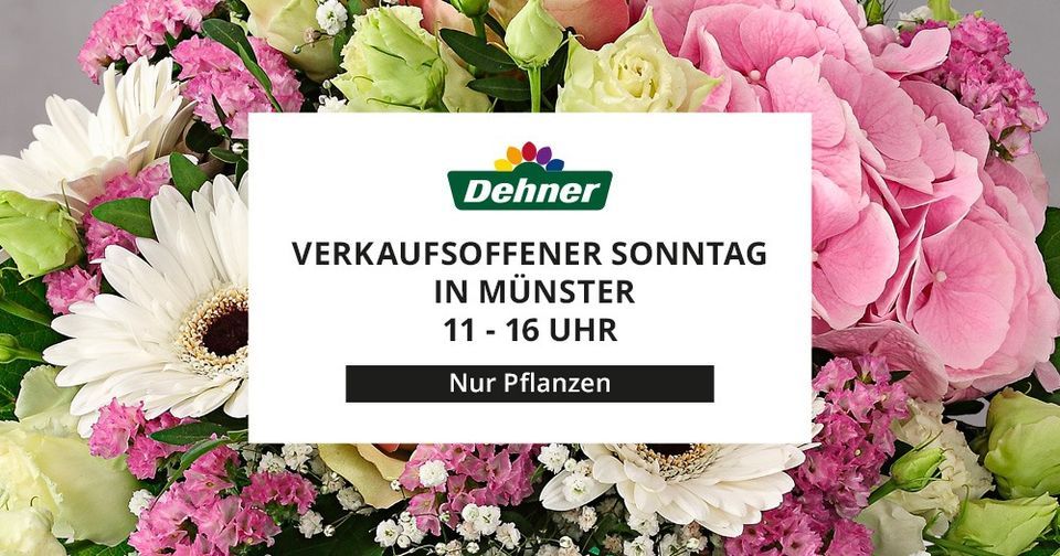 Verkaufsoffener Sonntag Garten-Center in M\u00fcnster