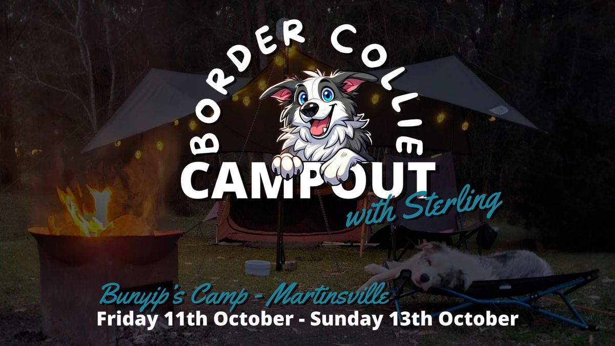 Border Collie Campout