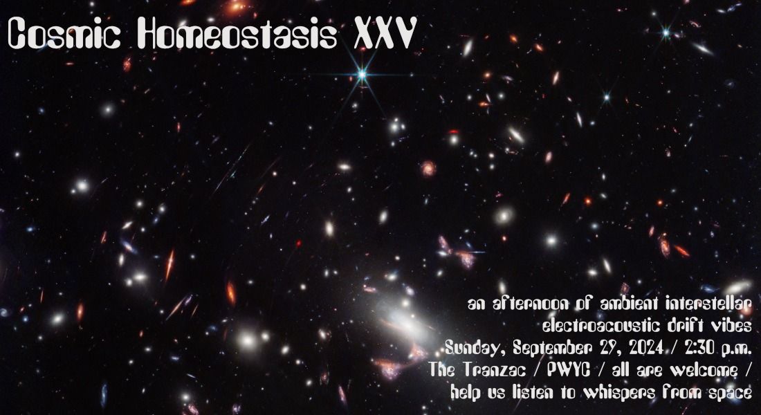 Cosmic Homeostasis XXV