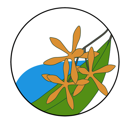 Western Sydney Weeds Authority