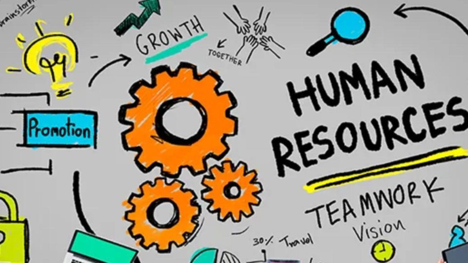 Human Resources - the Basics - for not for profits, The Kollective - TK ...