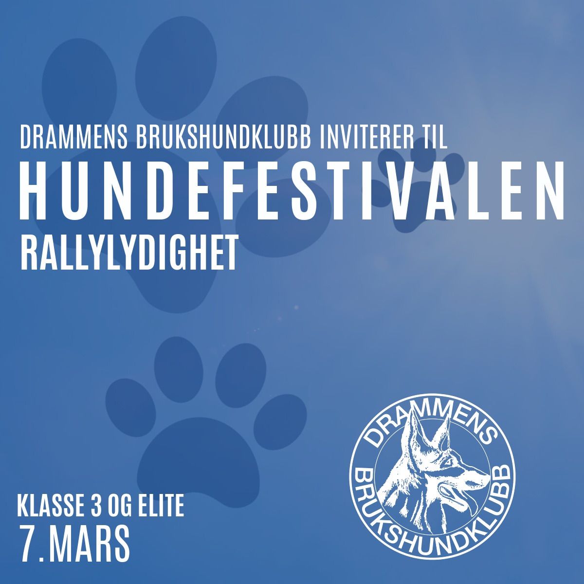 Hundefestivalen 2025 - rallylydighet