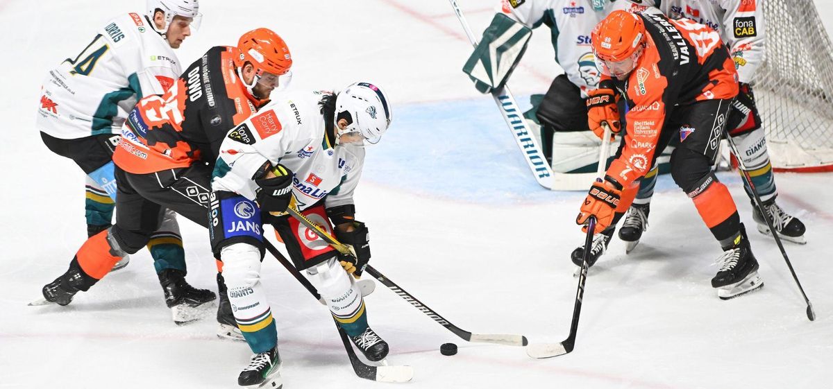 Belfast Giants at Sheffield Steelers Ice Hockey at Utilita Arena Sheffield