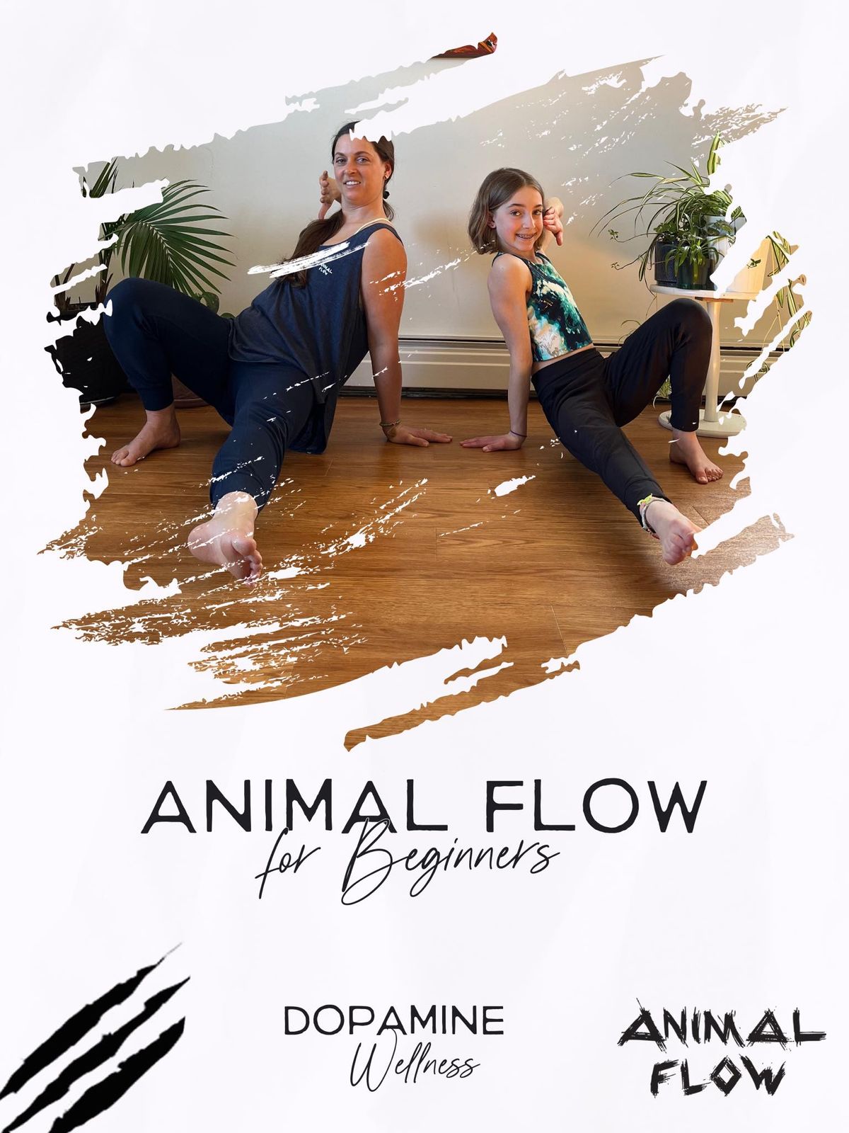 Animal Flow for Beginners