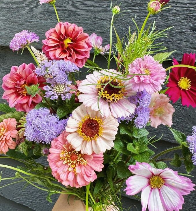 Grow Your Own Cut Flower Bouquet with Karen Martin