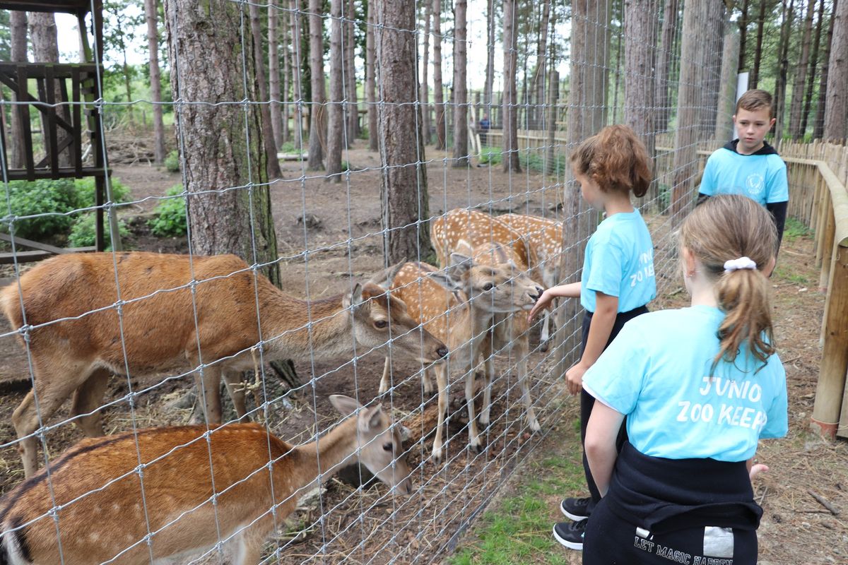 Junior Zookeeper Experience 