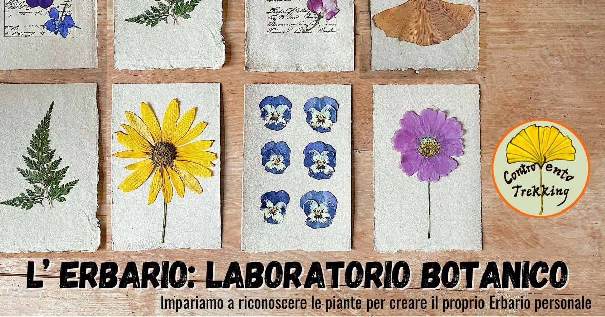 Erbario: laboratorio botanico di creazione manuale del proprio Erbario Medievale