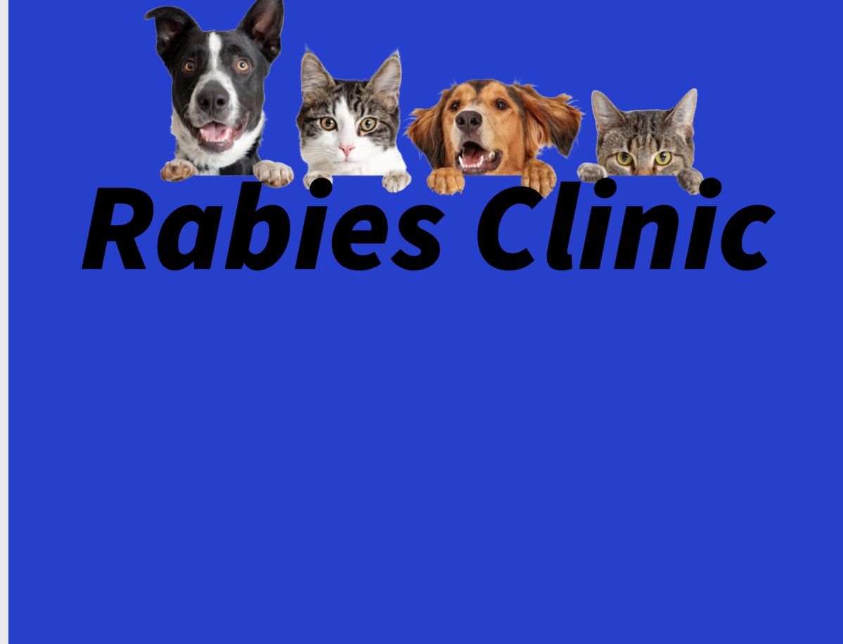 Annual Rabies Clinic