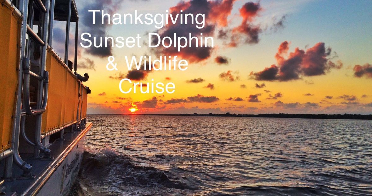 Thanksgiving Sunset Dolphin & Wildlife Cruise