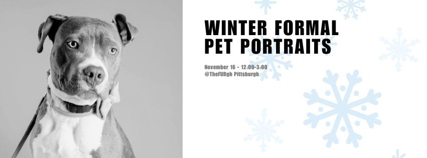 Winter Formal Pet Photos 